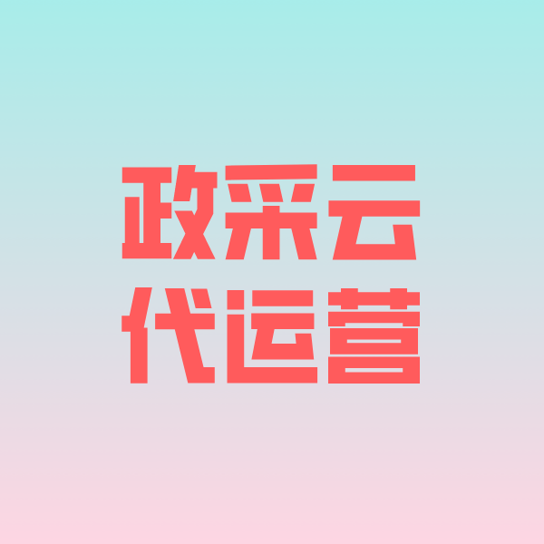安化政采云代运营